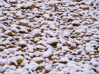 First snow.Background.