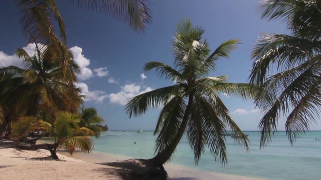 nat&uuml;rlicher Strand mit Palmen in der dominikanischen Republik