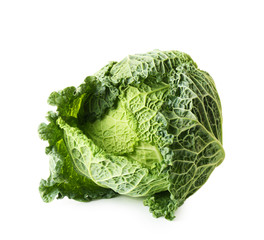 Savoy cabbage isolated on white background