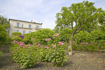 Fototapeta na wymiar Grounds of Les Colettes, Musee Renoir, home of Auguste Renoir, Cagnes-Sur-Mer, France