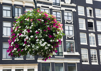 Fototapeta na wymiar Flower baskets in Amsterdam streets