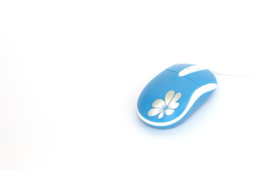 computer mouse on white background