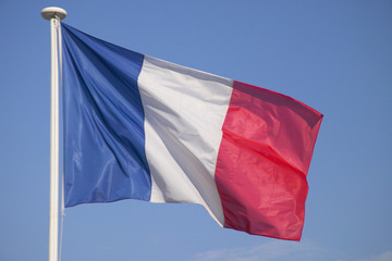 Naklejka na ściany i meble The flag of France