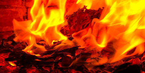 Firewood beautifully lit in the fireplace
