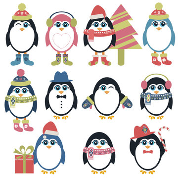 Set of penguins in winter