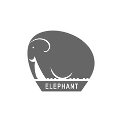 Fototapeta premium Elephant