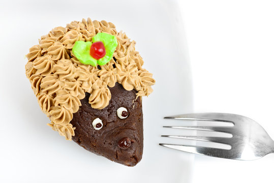 Chocolate Cake  Hedgehog