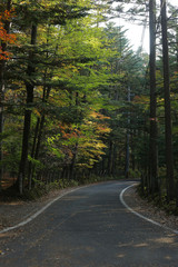 A path to unknown