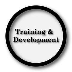 Training and development icon