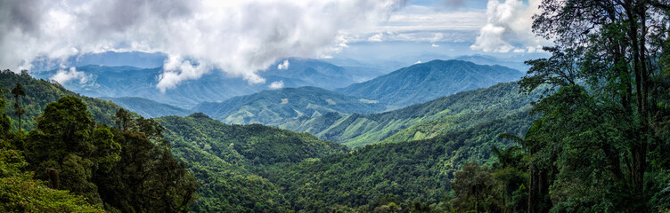panorama of landscape mountain view forest of thailand - obrazy, fototapety, plakaty