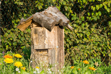 Insektenhotel in Blumenwiese