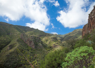Gran Canaria, Barranco de los Cernicalos