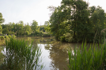 Fototapeta na wymiar lake for fishing, a hobby summer on the water.