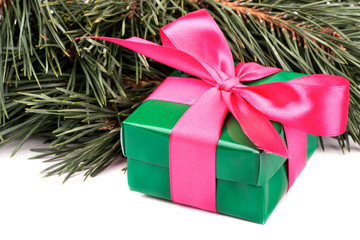 Gift under pine
