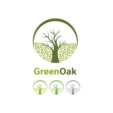 Tree logo concept of a stylised tree with leaves in a circle. Autumn of Oak Tree Circle Logo Design Vector
