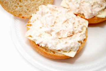 Tuna Sandwich with American Cheese