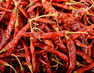 dried chili as a food background.