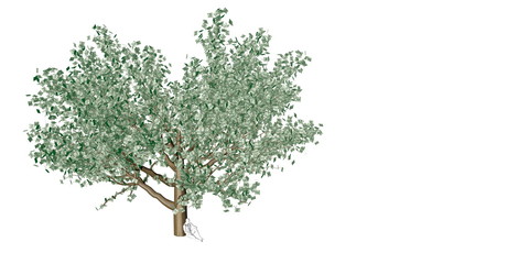 Obraz premium Financial Growth