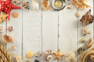 seashell on wooden background