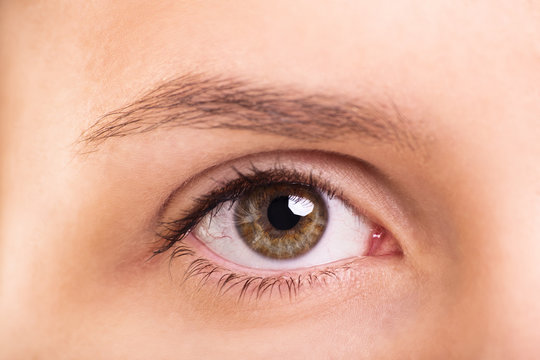 Close up shot of a female eye