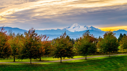 Sunrise over Mount Baker and a tree lined lane in the Fraser Valley of British Columbia, Canada