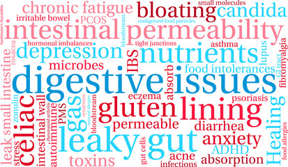 Fototapeta premium Digestive Issues word cloud on a white background. 