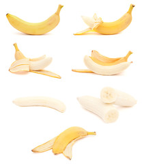 Banana compilation