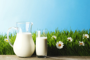Obraz na płótnie Canvas Milk jug and glass on flower field