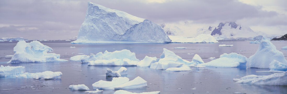 Panoramic view of glaciers and icebergs in Paradise Harbor, Antarctica