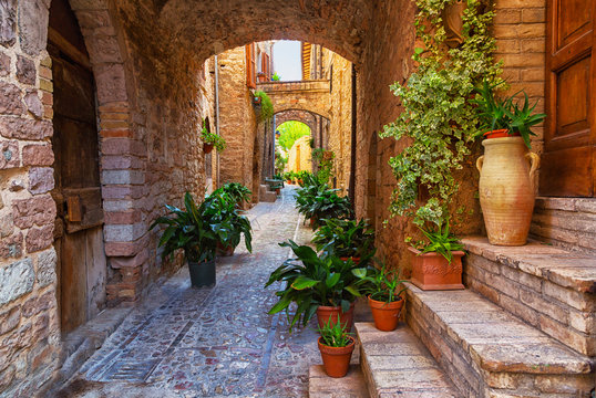 Plants in pots on narrow streets of the ancient city of Spello, Umbria, Italy