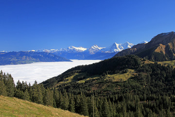 Fototapeta na wymiar alpen schweiz berner oberland