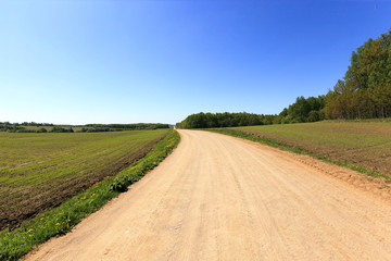 Fototapeta na wymiar Rural Dirt road. 