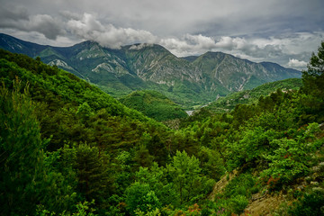 Fototapeta na wymiar Naturschutzgebiet Alpen