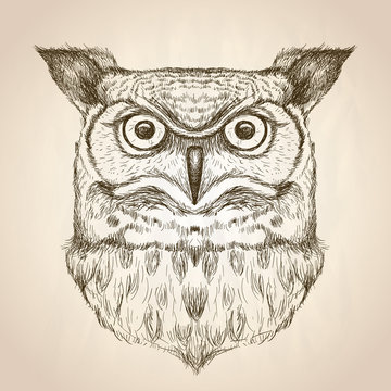Sketch illustration of an owl head, front view.