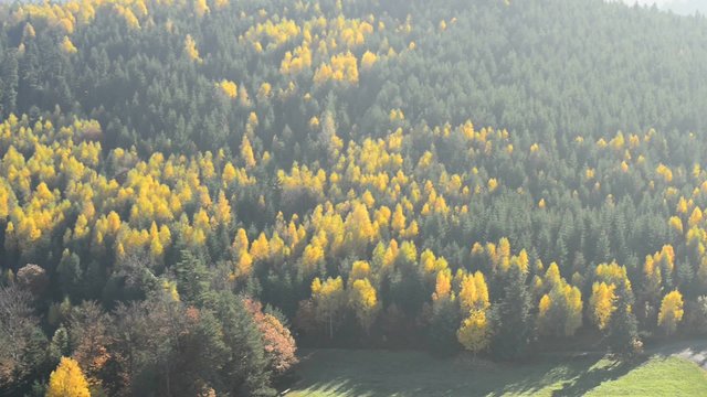 Blick vom Felsen von Dabo, Frankreich, Elsass auf die herbstlich verf&auml;rbten W&auml;lder der Vogesen