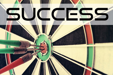 Darts with quote: Success