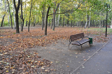 Bench in the autumn Park.