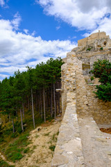 Fototapeta na wymiar Ancient walls of Morella castle and the pine wood behind, the province of Castellon, Spain.