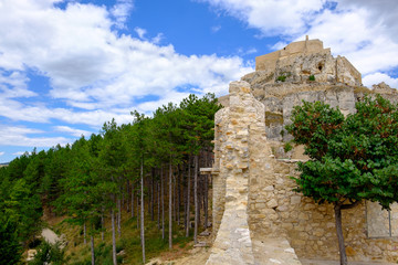 Fototapeta premium Ancient walls of Morella castle and the pine wood behind, the province of Castellon, Spain.