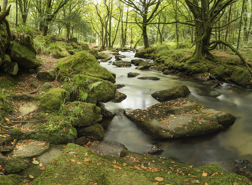 Stunning landscape iamge of river flowing through lush green for