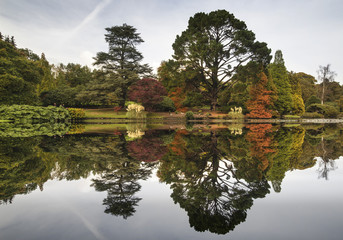 Fototapeta premium Beautiful Autumn Fall forest landscape reflected in calm lake