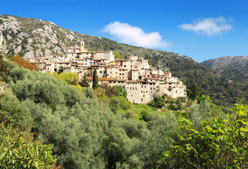 Obraz premium Le village de Peillon parmi les oliviers et les figuiers