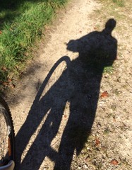 ombre d'un cycliste en forêt