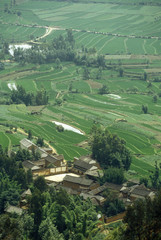 Fototapeta na wymiar Terraced rice fields near village in Dali, Yunnan Province, People's Republic of China