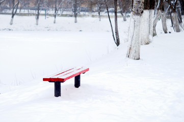 The red bench in the witer park