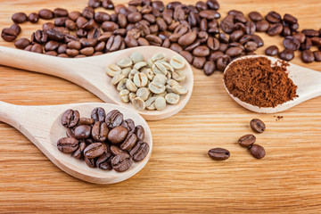 Roasted and green coffee beans in  wooden spoons.