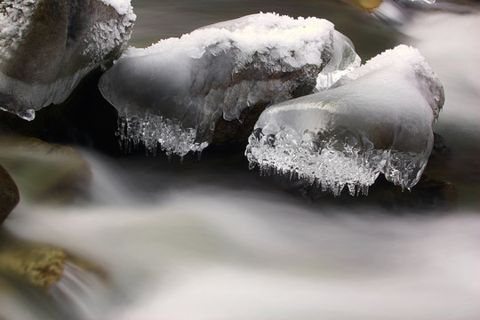 naturformen-91-adobe-stock