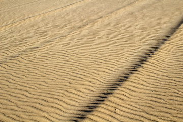 Patterns in the Sand