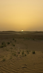 sunset in Dubai