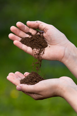 fertile soil in hands